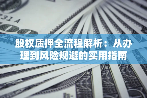 武汉股权质押全流程解析：从办理到风险规避的实用指南