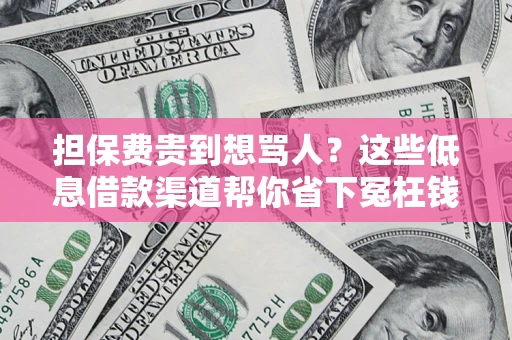 武汉担保费贵到想骂人？这些低息借款渠道帮你省下冤枉钱