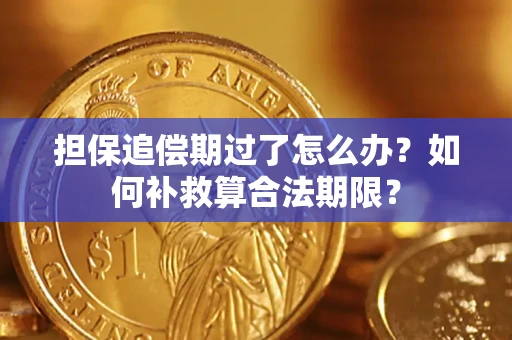 武汉担保追偿期过了怎么办？如何补救算合法期限？