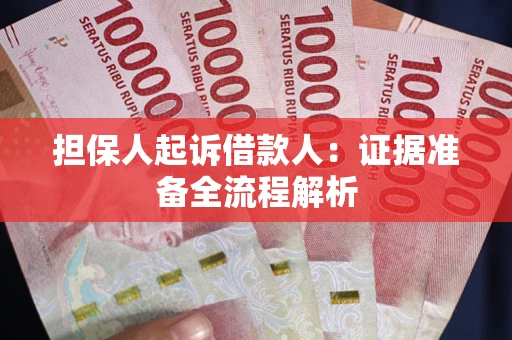 武汉担保人起诉借款人：证据准备全流程解析