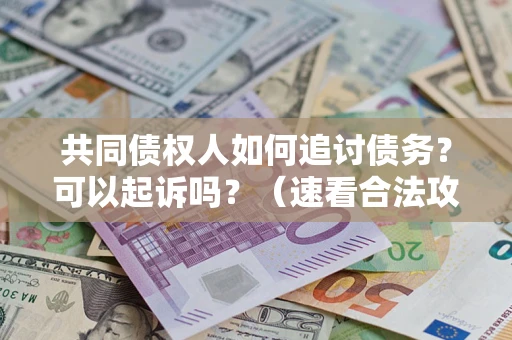 武汉共同债权人如何追讨债务？可以起诉吗？（速看合法攻略）