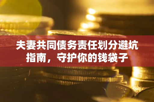 武汉夫妻共同债务责任划分避坑指南，守护你的钱袋子