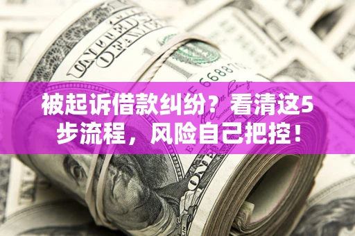 武汉被起诉借款纠纷？看清这5步流程，风险自己把控！