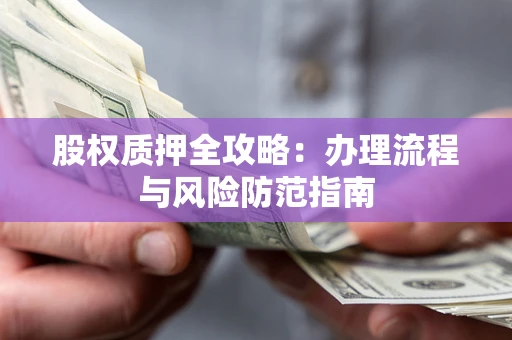 武汉股权质押全攻略：办理流程与风险防范指南